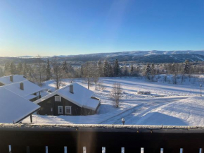 Fjellparken 351